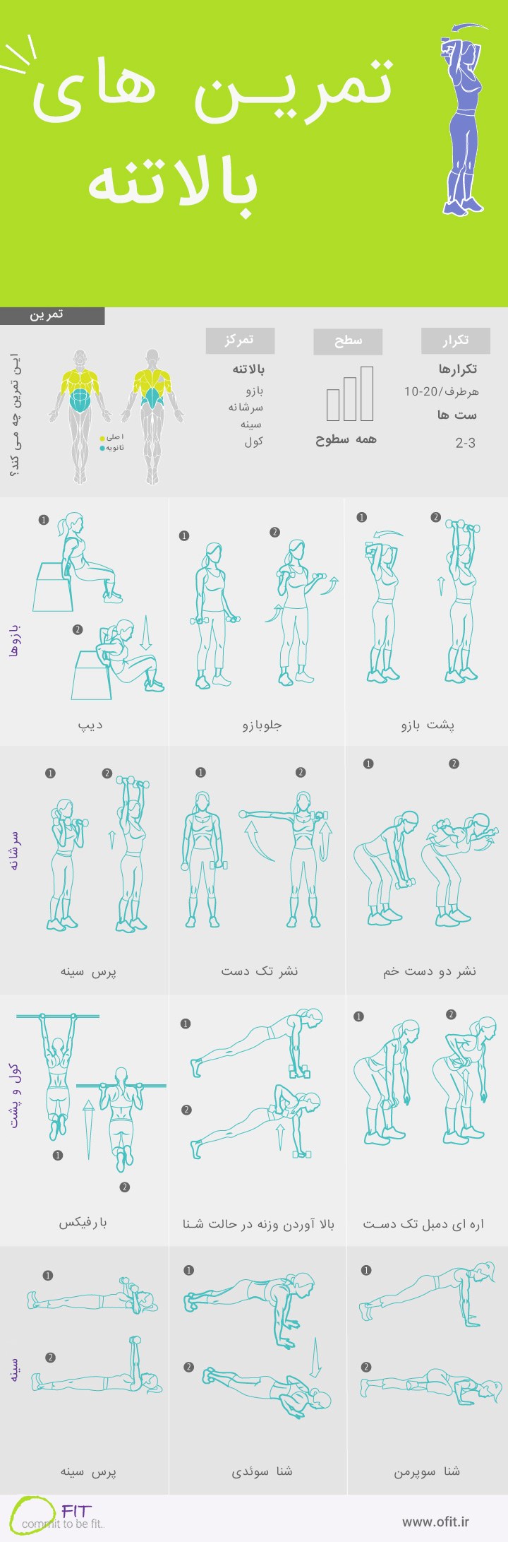 اینفوگرافیک حرکات بالاتنه